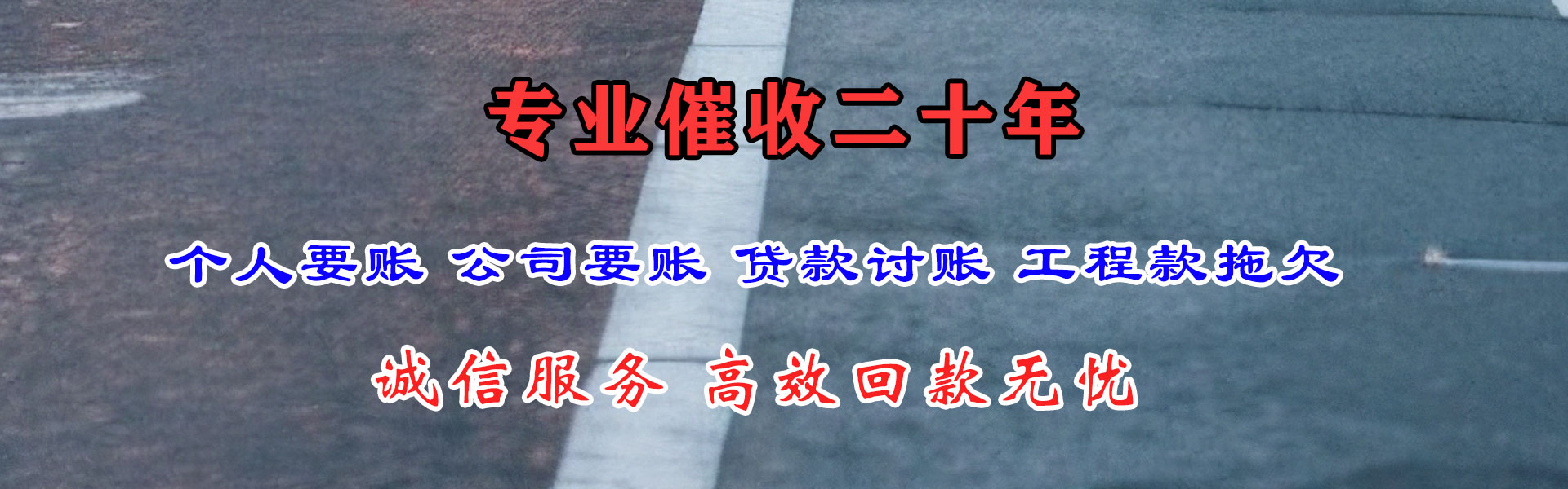 光山讨债公司